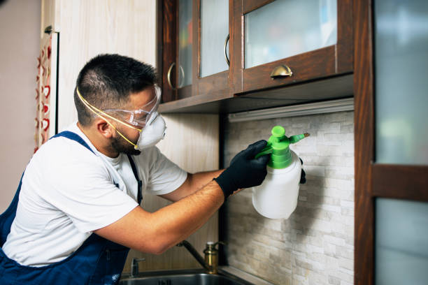 Best Exterminator Services  in Shenandoah, PA