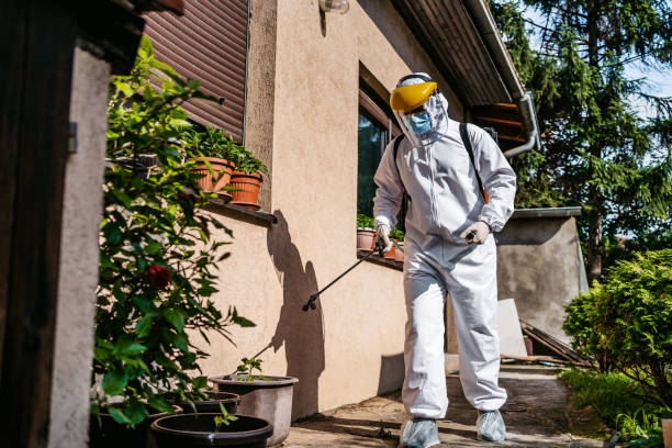 Best Mosquito Control Services  in Shenandoah, PA