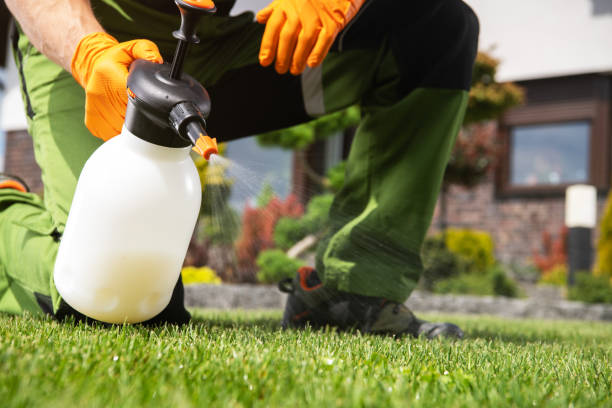 Best Best Pest Control Companies  in Shenandoah, PA