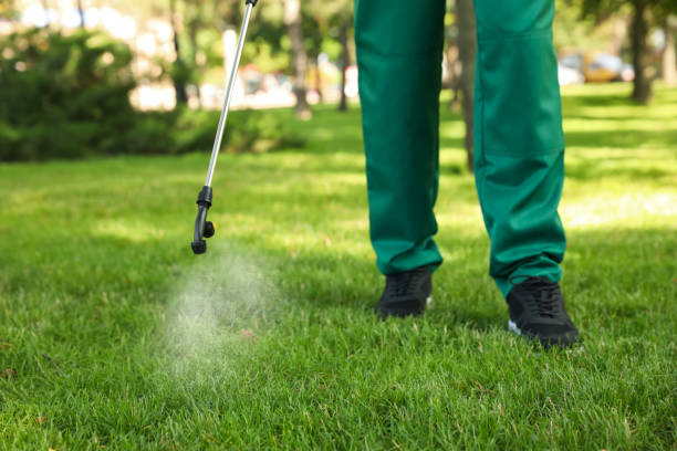 Best Mosquito Control Services  in Shenandoah, PA