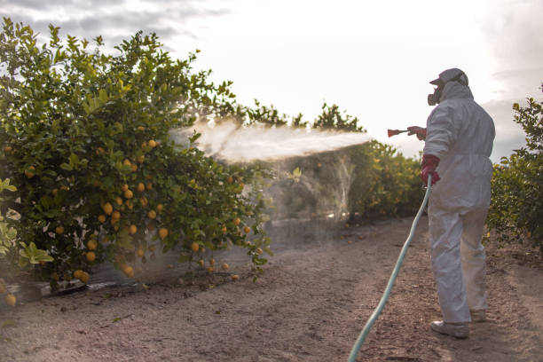 Best Local Pest Control Services  in Shenandoah, PA