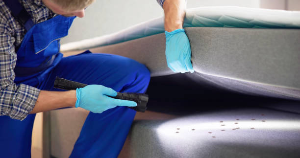 Best Wasp Removal Services  in Shenandoah, PA
