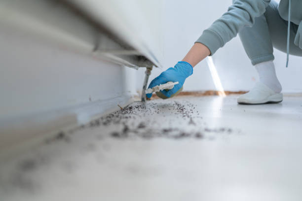 Best Pest Removal Services  in Shenandoah, PA